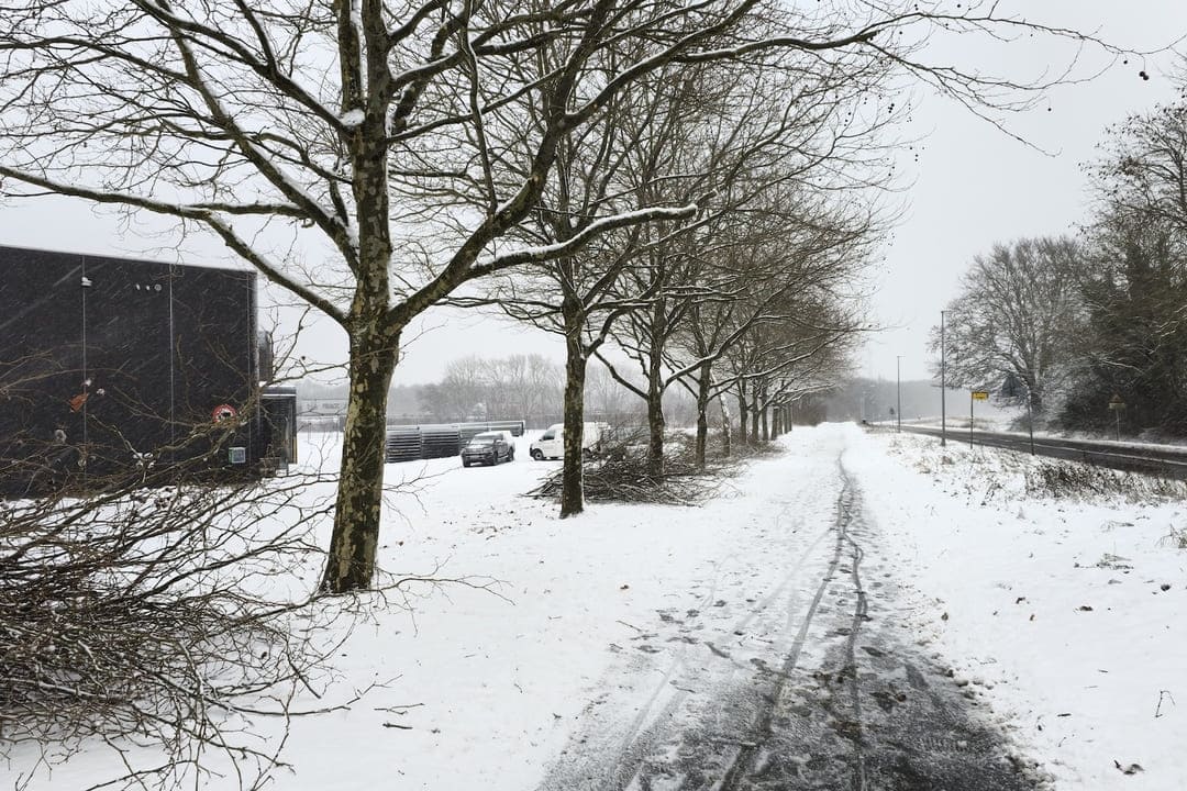 Fritrumsbeskæring cykelsti efter (1) (1) (1) (1) en cykelsti er blevet fritbeskåret af Skovhugger Lund