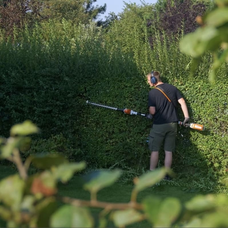 Hække beskæres af arborist